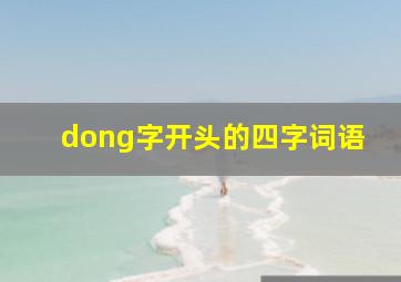 dong字开头的四字词语