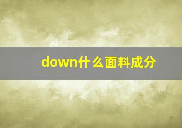 down什么面料成分