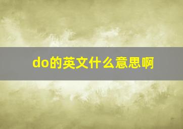 do的英文什么意思啊