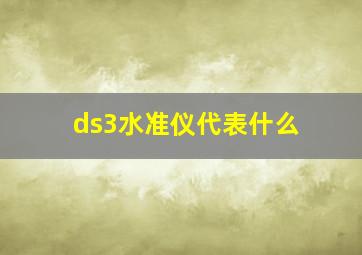 ds3水准仪代表什么