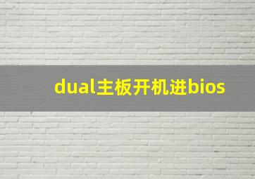 dual主板开机进bios