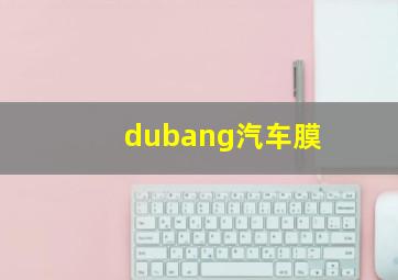 dubang汽车膜