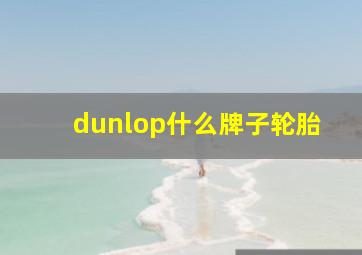 dunlop什么牌子轮胎