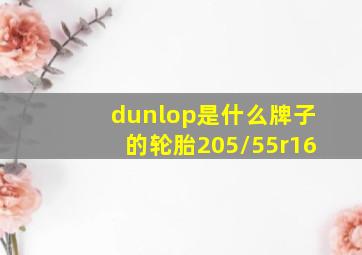 dunlop是什么牌子的轮胎205/55r16