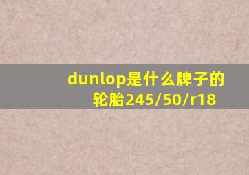 dunlop是什么牌子的轮胎245/50/r18