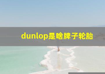 dunlop是啥牌子轮胎