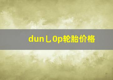 dun乚0p轮胎价格