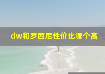 dw和罗西尼性价比哪个高