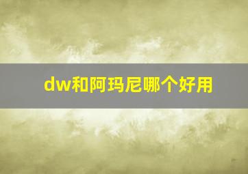 dw和阿玛尼哪个好用