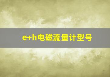 e+h电磁流量计型号