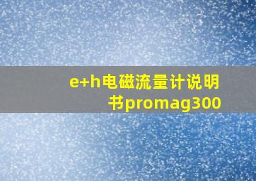 e+h电磁流量计说明书promag300