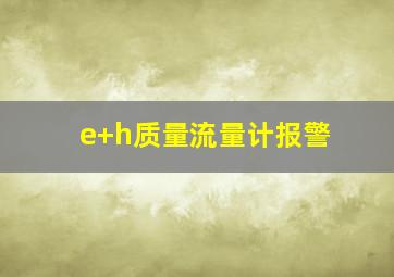 e+h质量流量计报警