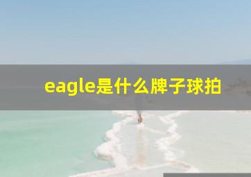 eagle是什么牌子球拍