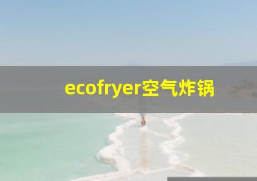 ecofryer空气炸锅