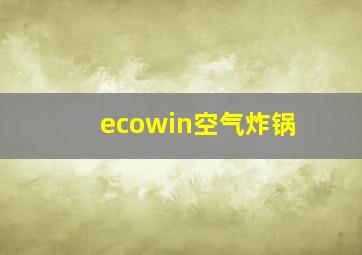 ecowin空气炸锅