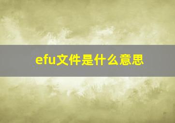 efu文件是什么意思