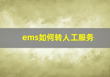 ems如何转人工服务