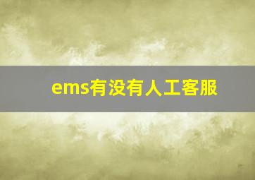 ems有没有人工客服