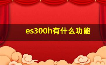 es300h有什么功能