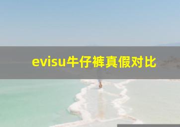 evisu牛仔裤真假对比