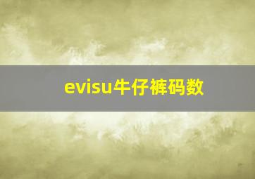 evisu牛仔裤码数