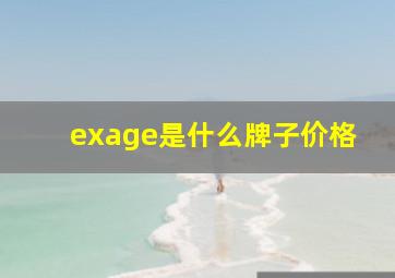 exage是什么牌子价格