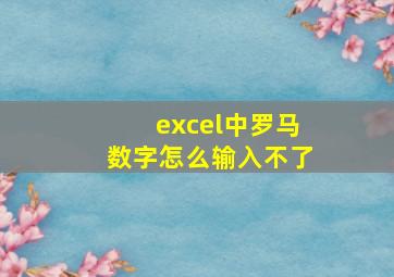 excel中罗马数字怎么输入不了