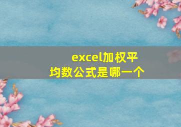 excel加权平均数公式是哪一个