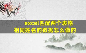 excel匹配两个表格相同姓名的数据怎么做的