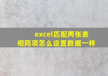 excel匹配两张表相同项怎么设置数据一样