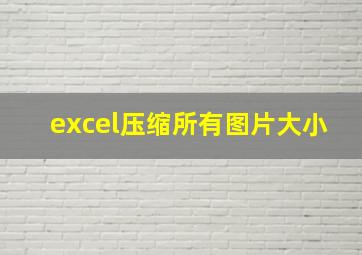 excel压缩所有图片大小