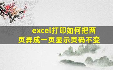 excel打印如何把两页弄成一页显示页码不变