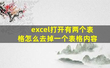 excel打开有两个表格怎么去掉一个表格内容