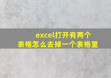 excel打开有两个表格怎么去掉一个表格里