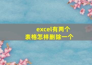 excel有两个表格怎样删除一个