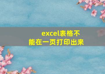 excel表格不能在一页打印出来