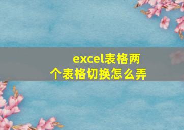 excel表格两个表格切换怎么弄