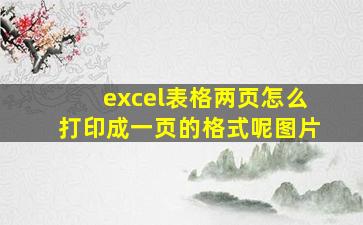 excel表格两页怎么打印成一页的格式呢图片