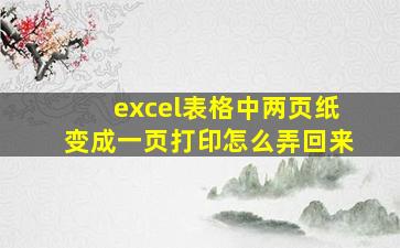 excel表格中两页纸变成一页打印怎么弄回来