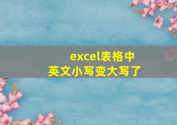 excel表格中英文小写变大写了