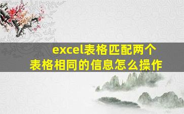 excel表格匹配两个表格相同的信息怎么操作