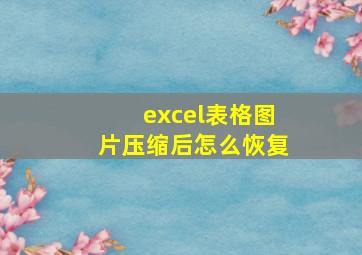 excel表格图片压缩后怎么恢复