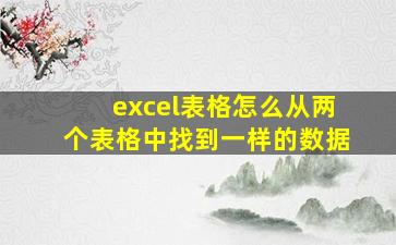 excel表格怎么从两个表格中找到一样的数据