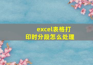 excel表格打印时分段怎么处理