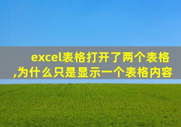 excel表格打开了两个表格,为什么只是显示一个表格内容