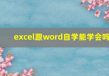 excel跟word自学能学会吗