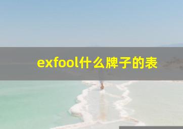 exfool什么牌子的表