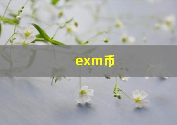 exm币