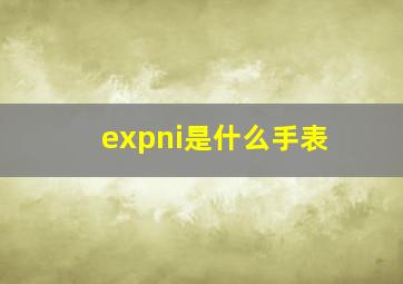 expni是什么手表