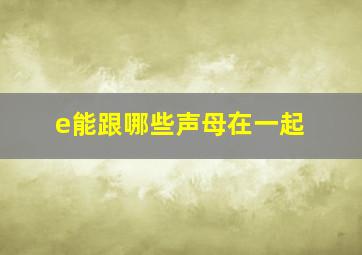 e能跟哪些声母在一起